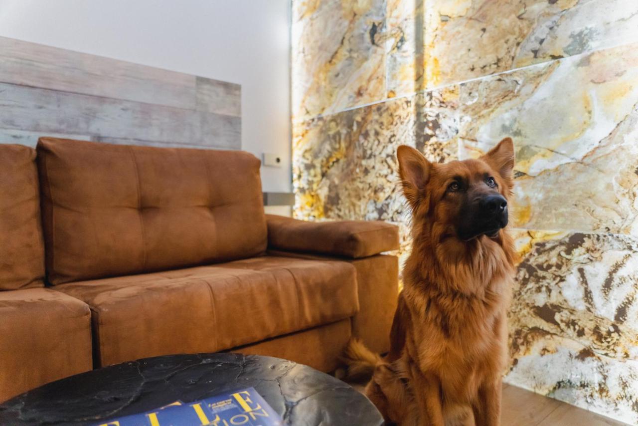 Cosmopolitan Boutique Rambla Hotell Barcelona Eksteriør bilde